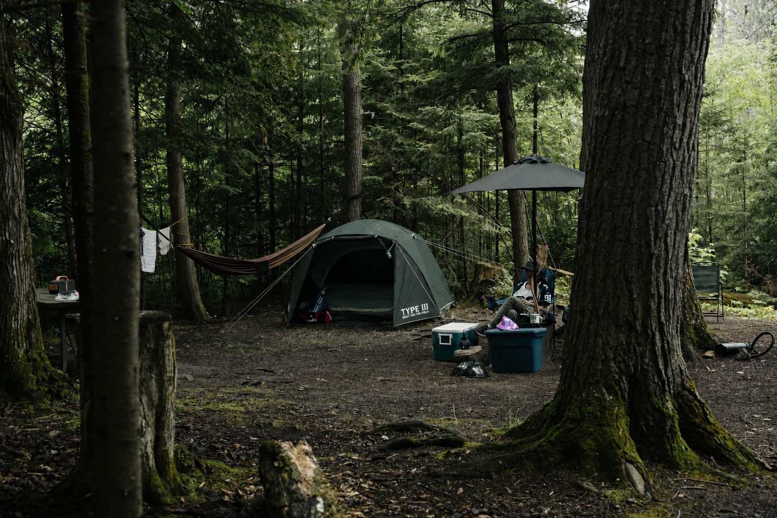 Campsite in a forest with tent and outdoor setup