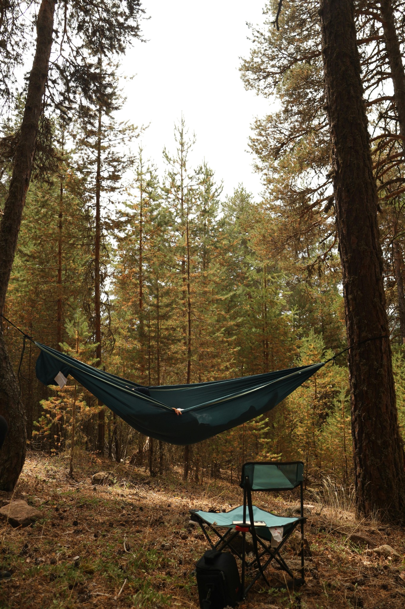 Hammock and camp chair in a forest setting
